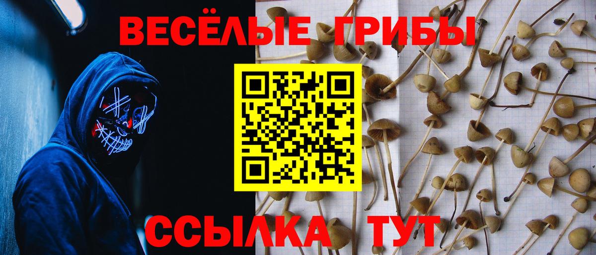 Псилоцибиновые грибы мухоморы  Вход с VPN  Можайск 